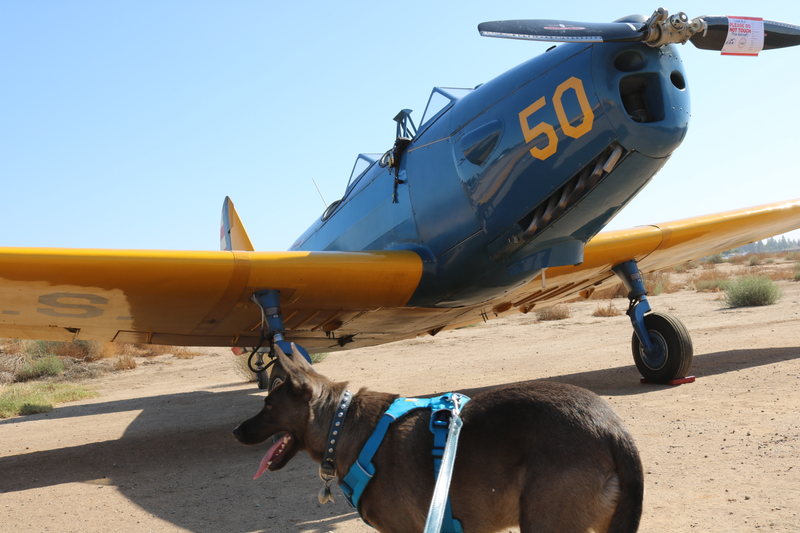 Illustration for article titled End O' Summer Fly In Car Show photodump - Part 2 - aircraft
